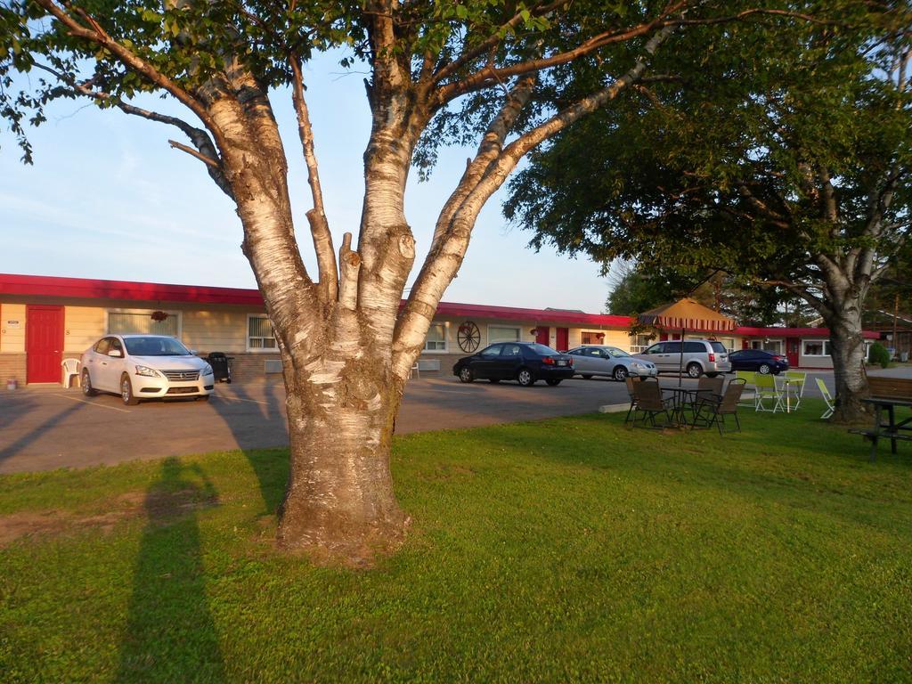 The Silver Birch Motel Goderich Bagian luar foto